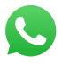 WhatsApp Official Icon